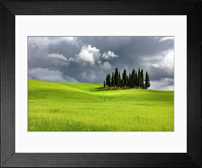Framed Print : The famous clump of cypress trees against a stormy sky, Val d'Orcia, near San Quirico d'Orcia, Tuscany, Italy Framed Print : The famous clump of cypress trees against a stormy sky, Val d'Orcia, near San Quirico d'Orcia, Tuscany, Italy