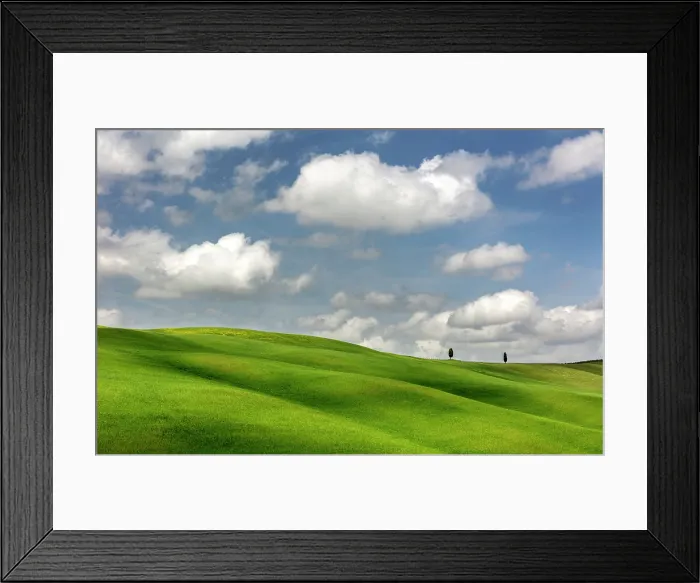 Framed Print : Cypress trees and rolling green fields, Val d'Orcia, near San Quirico d'Orcia, Tuscany, Italy Framed Print : Cypress trees and rolling green fields, Val d'Orcia, near San Quirico d'Orcia, Tuscany, Italy