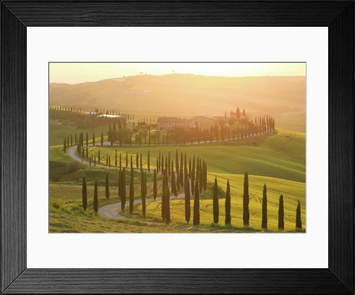 Framed Print : Winding road lined with cypress trees leading to Podere Baccoleno at sunset, Asciano, Crete senesi, Tuscany, Italy