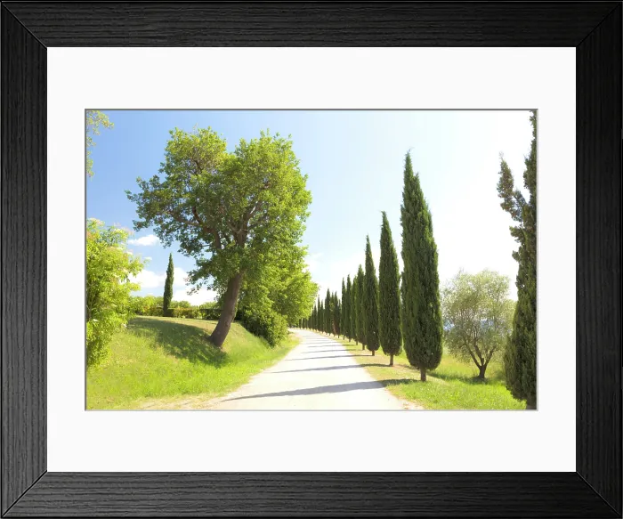 Framed Print : Gravel road lined with cypress trees, Val d'Orcia, near San Quirico d'Orcia, Tuscany, Italy Framed Print : Gravel road lined with cypress trees, Val d'Orcia, near San Quirico d'Orcia, Tuscany, Italy
