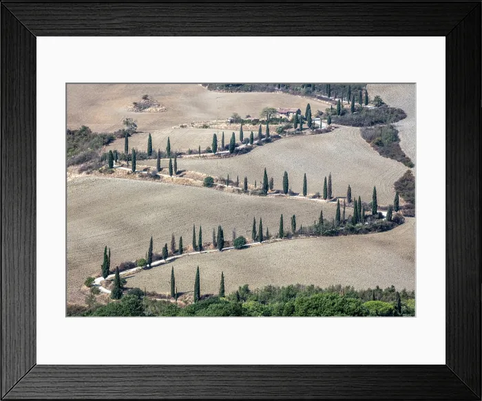 Framed Print : Winding road lined with Cypress trees, La Foce, Val d'Orcia, Tuscany, Italy Framed Print : Winding road lined with Cypress trees, La Foce, Val d'Orcia, Tuscany, Italy
