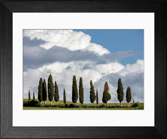 Framed Print : Cypress trees and stormy sky, La Foce, Val d'Orcia, Tuscany, Italy Framed Print : Cypress trees and stormy sky, La Foce, Val d'Orcia, Tuscany, Italy