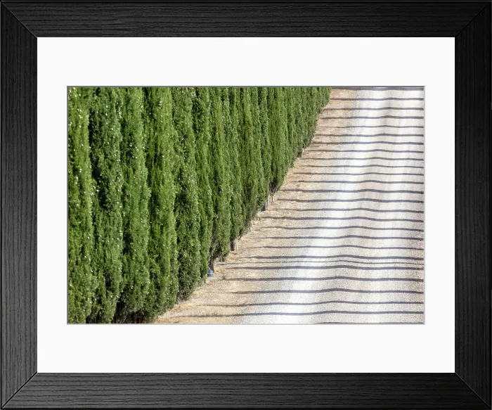 Framed Print : Cypress trees and shadows on gravel road, Poggio Covili, Val d'Orcia, near San Quirico d'Orcia, Tuscany, Italy