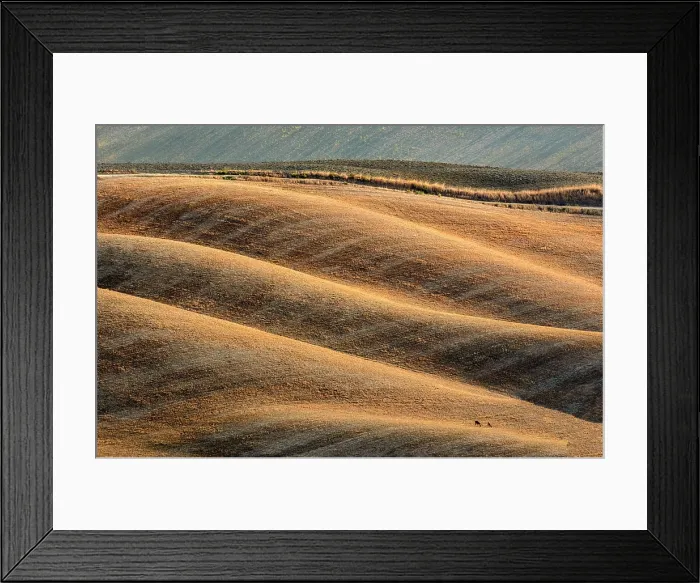 Framed Print : Ploughed fields in late summer, Val d'Orcia, Tuscany, Italy Framed Print : Ploughed fields in late summer, Val d'Orcia, Tuscany, Italy