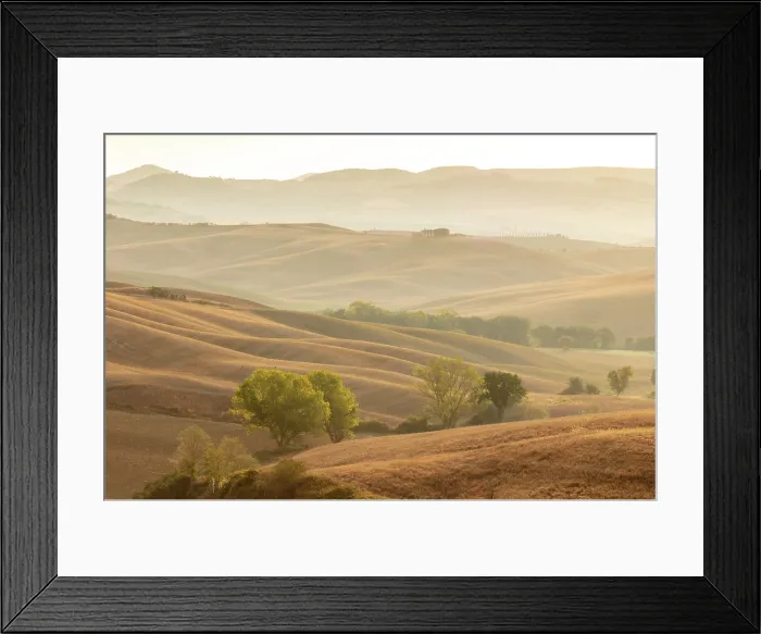 Framed Print : Misty late summer landscape, Val d'Orcia, near San Quirico d'Orcia, Tuscany, Italy