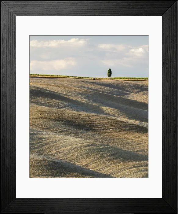 Framed Print : Cypress tree and ploughed fields in late summer, Val d'Orcia, Tuscany, Italy Framed Print : Cypress tree and ploughed fields in late summer, Val d'Orcia, Tuscany, Italy