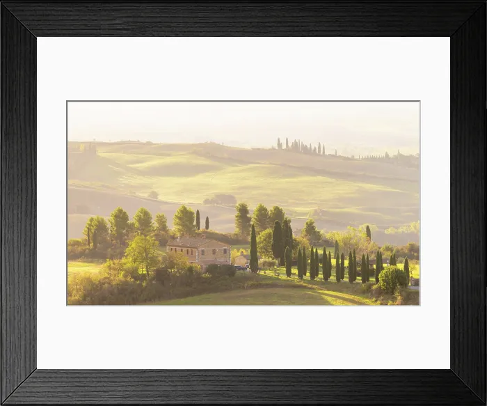Framed Print : Traditional Tuscan farhmouse set amongst cypress trees and rolling hills, Val d'Orcia at dawn, San Quirico d'Orcia, Tuscany, Italy