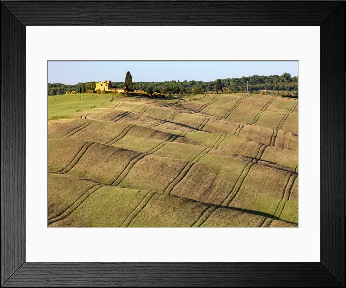 Framed Print : Rolling green fields with tractor lines, near Asciano, Tuscany, Italy Framed Print : Rolling green fields with tractor lines, near Asciano, Tuscany, Italy