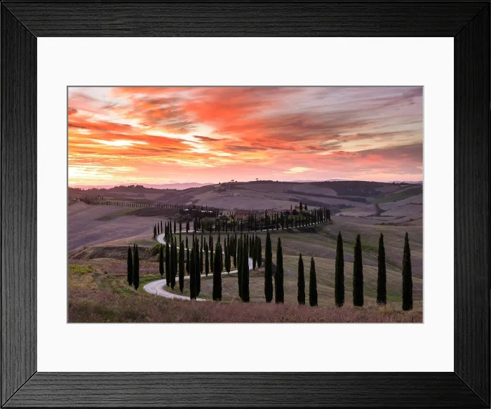 Framed Print : Winding road lined with cypress trees leading to Podere Baccoleno at sunset, Asciano, Crete senesi, Tuscany, Italy Framed Print : Winding road lined with cypress trees leading to Podere Baccoleno at sunset, Asciano, Crete senesi, Tuscany, Italy