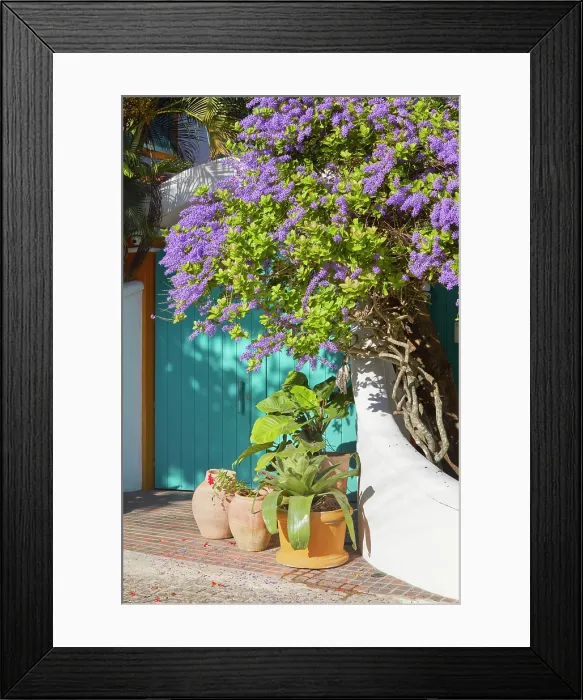 Framed Print : Plants and flowers at the entrance of a house in the historical cask of Buzios, Rio de Janeiro, Brazil Framed Print : Plants and flowers at the entrance of a house in the historical cask of Buzios, Rio de Janeiro, Brazil