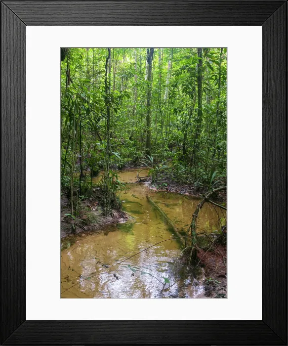Framed Print : Americas, South America, Brazil, Amazonas, Brazilian Amazon, Presidente Figueiredo, Amazonas Waterfalls Geopark (Geoparque Cachoeiras do Amazonas)