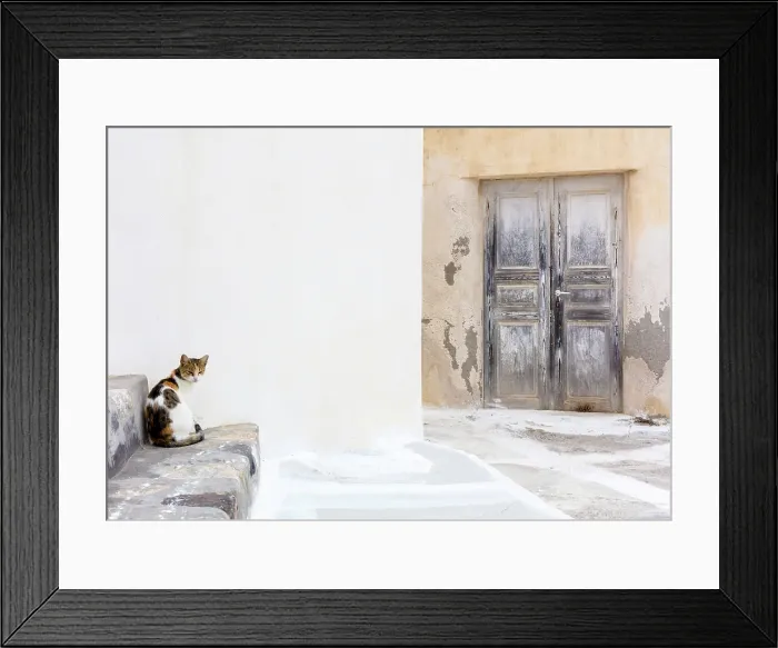 Framed Print : Old door and cat on step, Emporio, Santorini, Cyclades Islands, Greece, Europe Framed Print : Old door and cat on step, Emporio, Santorini, Cyclades Islands, Greece, Europe