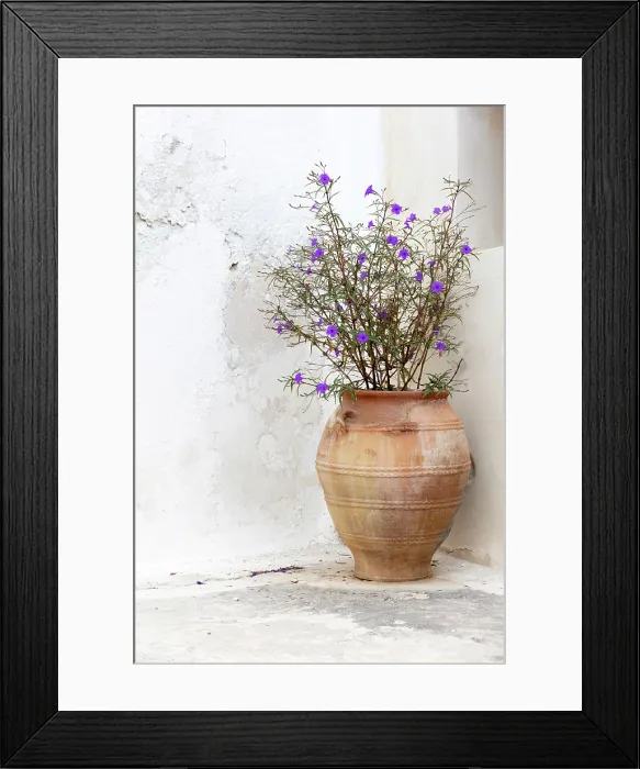 Framed Print : Terracotta urn with plant against white wall, Emporio, Santorini, Cyclades Islands, Greece, Europe Framed Print : Terracotta urn with plant against white wall, Emporio, Santorini, Cyclades Islands, Greece, Europe