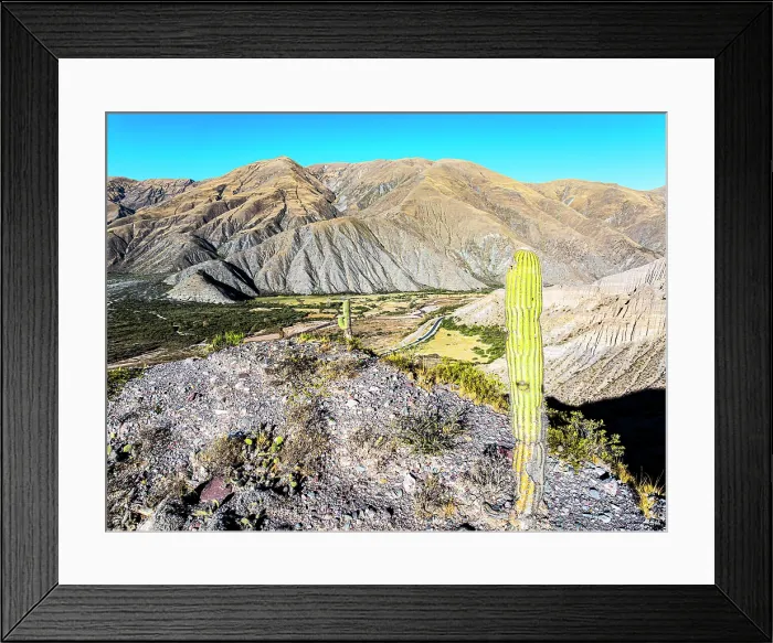 Framed Print : Cactus, Tumbaya, Jujuy, Argentina Framed Print : Cactus, Tumbaya, Jujuy, Argentina
