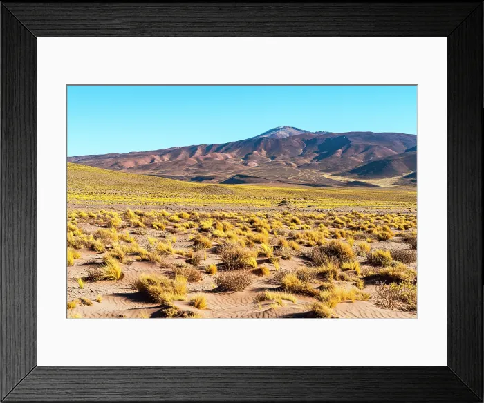Framed Print : Salar de Pocitos, Puna de Atacama, Salta, Argentina Framed Print : Salar de Pocitos, Puna de Atacama, Salta, Argentina