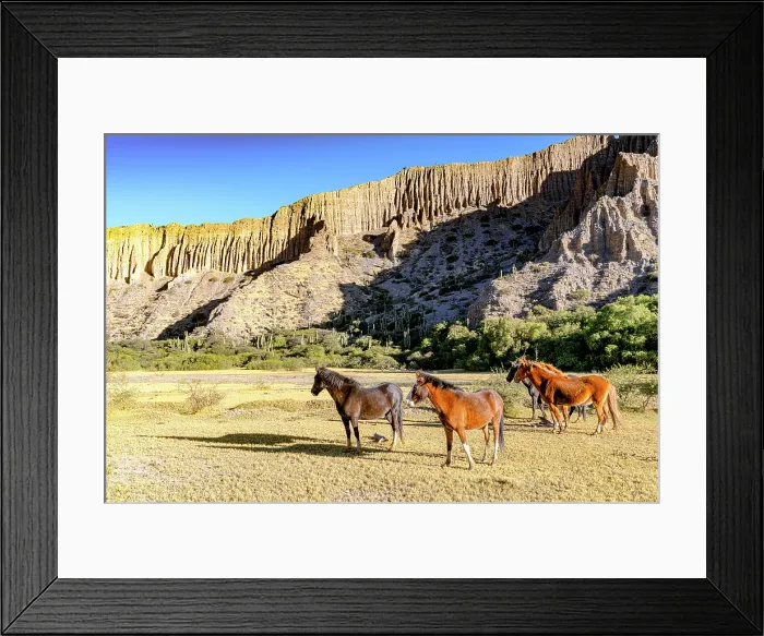 Framed Print : Horses on grass near geologic formations, Tumbaya, Jujuy, Argentina Framed Print : Horses on grass near geologic formations, Tumbaya, Jujuy, Argentina