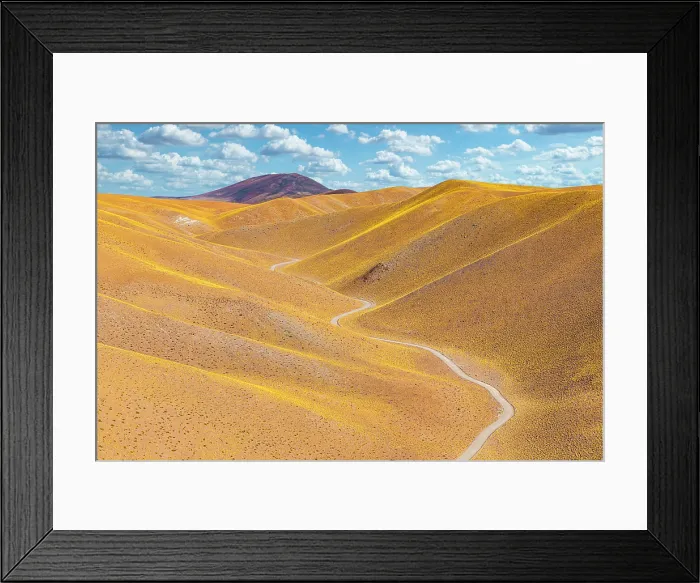 Framed Print : Winding road through yellow hills, Vega de los Colorados, Puna, Catamarca, Argentina Framed Print : Winding road through yellow hills, Vega de los Colorados, Puna, Catamarca, Argentina