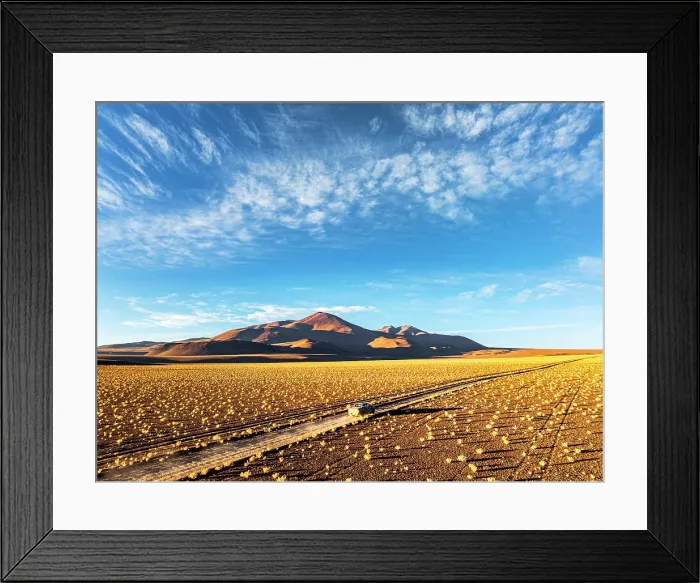 Framed Print : Car driving past desert shrubs, Puna, Argentina Framed Print : Car driving past desert shrubs, Puna, Argentina