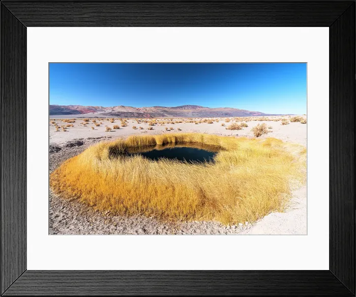 Framed Print : Salt pond surrounded by yellow grass, Salar de Antofalla, Puna, Catamarca, Argentina Framed Print : Salt pond surrounded by yellow grass, Salar de Antofalla, Puna, Catamarca, Argentina