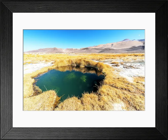 Framed Print : Salt pond edged by yellow grass, Salar de Antofalla, Puna, Catamarca, Argentina Framed Print : Salt pond edged by yellow grass, Salar de Antofalla, Puna, Catamarca, Argentina