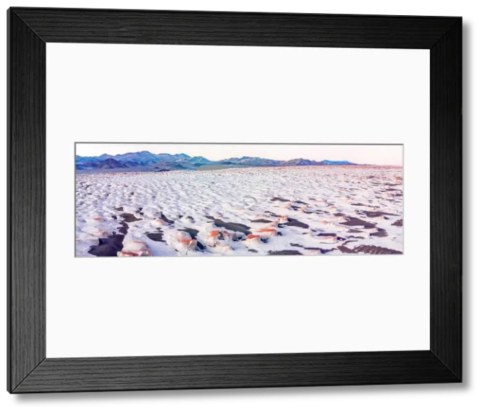 Framed Print : Campo de Piedra Pomez at sunrise, El Penon, Catamarca, Argentina Framed Print : Campo de Piedra Pomez at sunrise, El Penon, Catamarca, Argentina