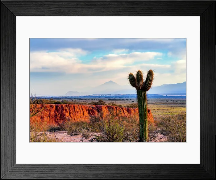 Framed Print : Tall cactus amidst colorful rock formations, Quebrada de las Conchas, Salta, Argentina Framed Print : Tall cactus amidst colorful rock formations, Quebrada de las Conchas, Salta, Argentina