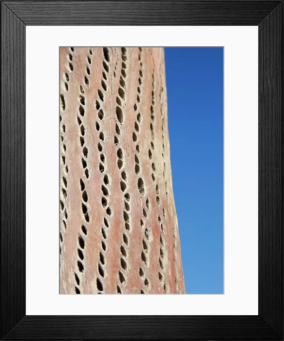 Framed Print : Detail of the texture of a dry cardon cactus wood (Echinopsis atacamensis), Purmamarca, Quebrada de Humahuaca, Jujuy, Northwest Argentina Framed Print : Detail of the texture of a dry cardon cactus wood (Echinopsis atacamensis), Purmamarca, Quebrada de Humahuaca, Jujuy, Northwest Argentina