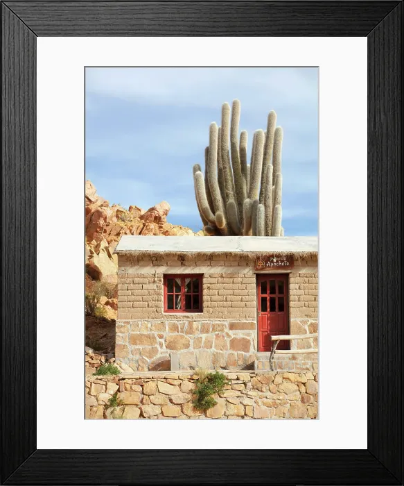 Framed Print : A traditional house with cardon cactus (Echinopsis atacamensis) in the San Francisco de Alfarcito town, Puna de Atacama, Jujuy, Northwest Argentina Framed Print : A traditional house with cardon cactus (Echinopsis atacamensis) in the San Francisco de Alfarcito town, Puna de Atacama, Jujuy, Northwest Argentina