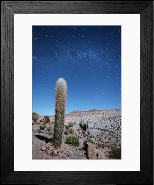 Framed Print : A Cardon cactus (Echinopsis atacamensis) with a starry sky, and the Milky Way, Puna de Atacama, San Francisco de Alfarcito, Jujuy, Northwest Argentina Framed Print : A Cardon cactus (Echinopsis atacamensis) with a starry sky, and the Milky Way, Puna de Atacama, San Francisco de Alfarcito, Jujuy, Northwest Argentina