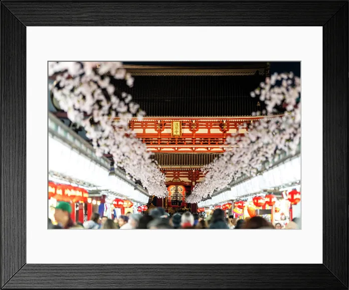 Framed Print : Tourists visit Senso-ji Temple in Tokyo, Japan, framed by cherry blossoms Framed Print : Tourists visit Senso-ji Temple in Tokyo, Japan, framed by cherry blossoms