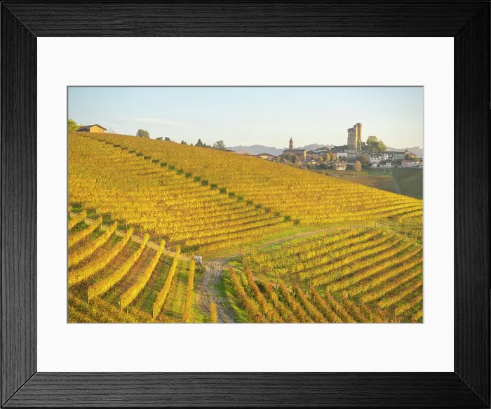 Framed Print : Autumn vineyards in Langhe, Piedmont, Italy