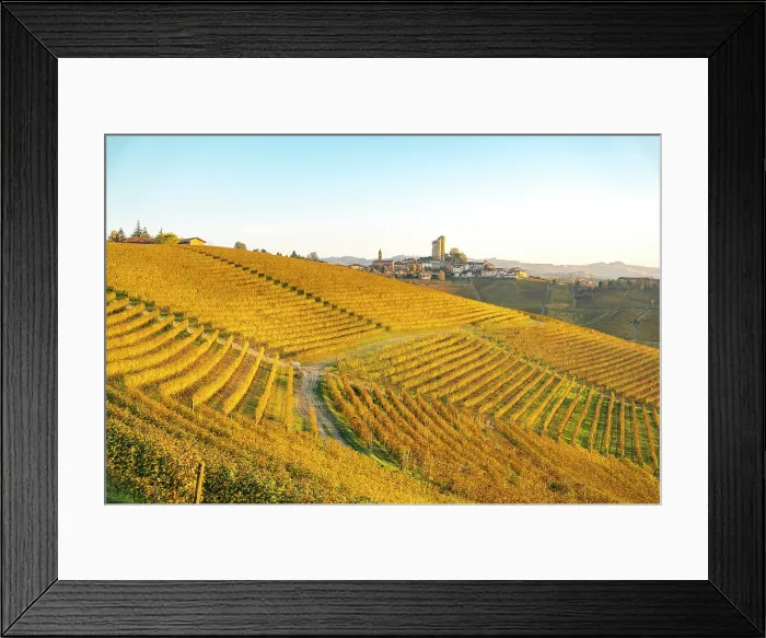 Framed Print : Autumn vineyards in Langhe, Piedmont, Italy Framed Print : Autumn vineyards in Langhe, Piedmont, Italy