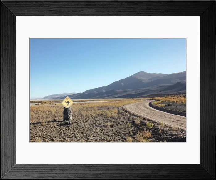 Framed Print : A wild animal road sign beside a dirty road of the Antofalla Salt Flat, Puna de Atacama, Catamarca, Northwest Argentina Framed Print : A wild animal road sign beside a dirty road of the Antofalla Salt Flat, Puna de Atacama, Catamarca, Northwest Argentina