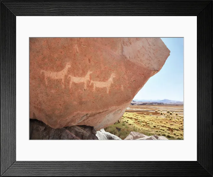 Framed Print : Ancient rock art depicting camelids in Antofagasta de la Sierra, Puna de Atacama, Catamarca, Northwest Argentina Framed Print : Ancient rock art depicting camelids in Antofagasta de la Sierra, Puna de Atacama, Catamarca, Northwest Argentina