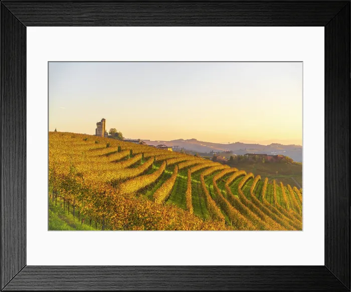 Framed Print : Autumn vineyards near Grinzane Cavour castle, Langhe, Piedmont. italy Framed Print : Autumn vineyards near Grinzane Cavour castle, Langhe, Piedmont. italy