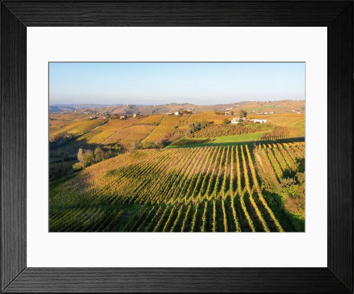 Framed Print : Autumn vineyards in Monferrato, Piedmont, Italy Framed Print : Autumn vineyards in Monferrato, Piedmont, Italy