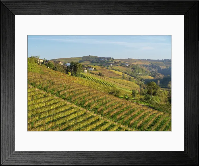 Framed Print : Autumn vineyards in Monferrato, Piedmont, Itlay Framed Print : Autumn vineyards in Monferrato, Piedmont, Itlay