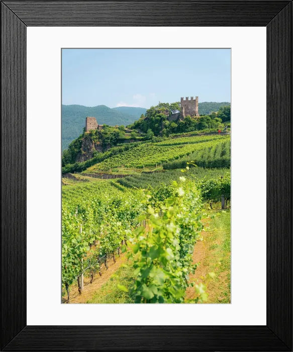 Framed Print : Vineyard with a castle on a hill, likely for wine production and tourism. Segonzano, Trentino Alto Adige, Italy Framed Print : Vineyard with a castle on a hill, likely for wine production and tourism. Segonzano, Trentino Alto Adige, Italy