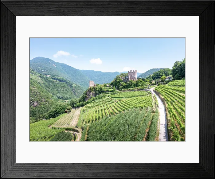 Framed Print : Aerial view of a castle and vineyards in Trentino, Italy. A scenic landscape. Segonzano Framed Print : Aerial view of a castle and vineyards in Trentino, Italy. A scenic landscape. Segonzano