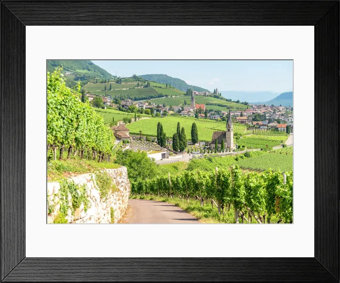 Framed Print : Vineyards and the village of Cortaccia, sulla Strada del Vino, Trentino Alto Adige, Italy Framed Print : Vineyards and the village of Cortaccia, sulla Strada del Vino, Trentino Alto Adige, Italy