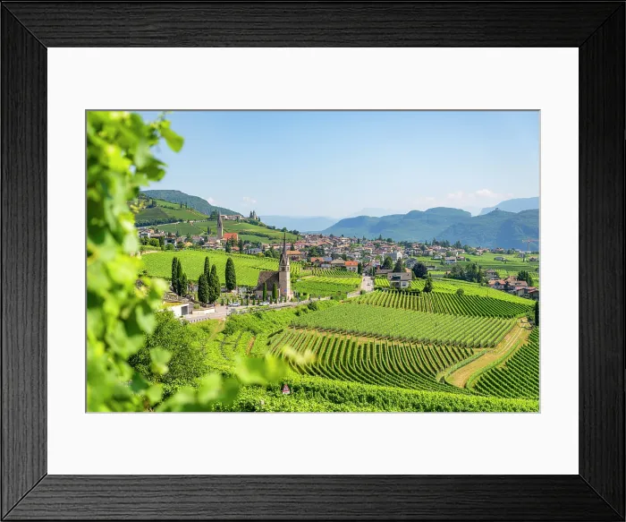 Framed Print : Vineyards and the village of Cortaccia, sulla Strada del Vino, Trentino Alto Adige, Italy Framed Print : Vineyards and the village of Cortaccia, sulla Strada del Vino, Trentino Alto Adige, Italy