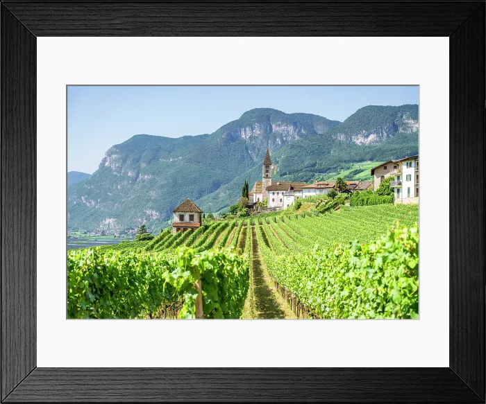 Framed Print : Vineyards and the village of Cortaccia, sulla Strada del Vino, Trentino Alto Adige, Italy Framed Print : Vineyards and the village of Cortaccia, sulla Strada del Vino, Trentino Alto Adige, Italy