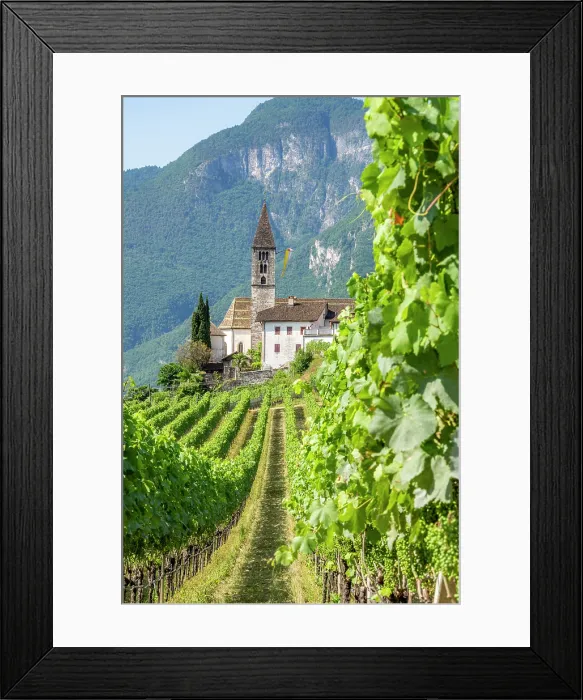 Framed Print : Vineyards and the village of Cortaccia, sulla Strada del Vino, Trentino Alto Adige, Italy