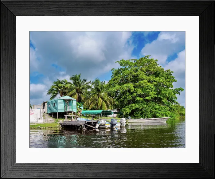 Framed Print : New River, Tower Hill, Orange Walk District, Belize