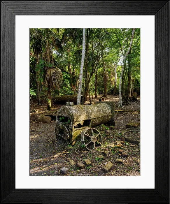 Framed Print : 19th-Century Sugar Mill Ruins near Lamanai Archaeological Reserve, Indian Church, Orange Walk District, Belize Framed Print : 19th-Century Sugar Mill Ruins near Lamanai Archaeological Reserve, Indian Church, Orange Walk District, Belize