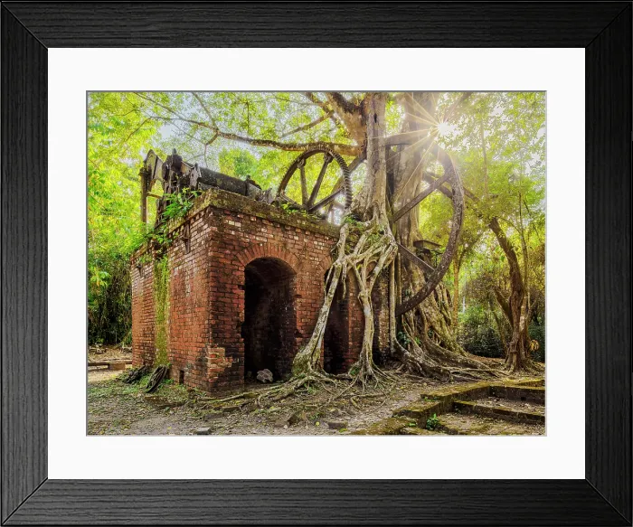 Framed Print : 19th-Century Sugar Mill Ruins near Lamanai Archaeological Reserve, Indian Church, Orange Walk District, Belize Framed Print : 19th-Century Sugar Mill Ruins near Lamanai Archaeological Reserve, Indian Church, Orange Walk District, Belize