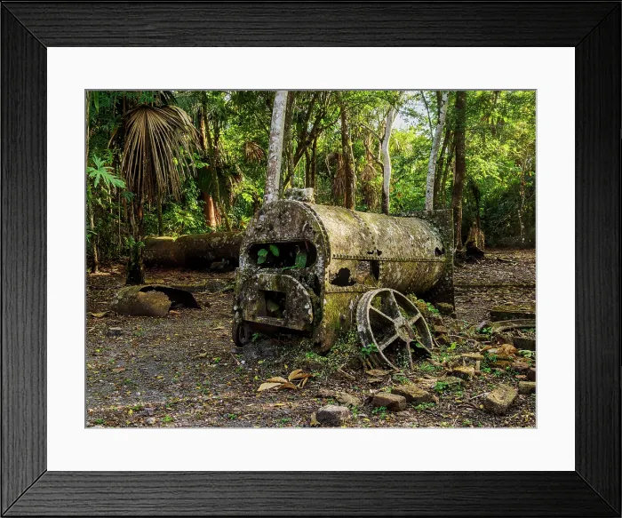Framed Print : 19th-Century Sugar Mill Ruins near Lamanai Archaeological Reserve, Indian Church, Orange Walk District, Belize