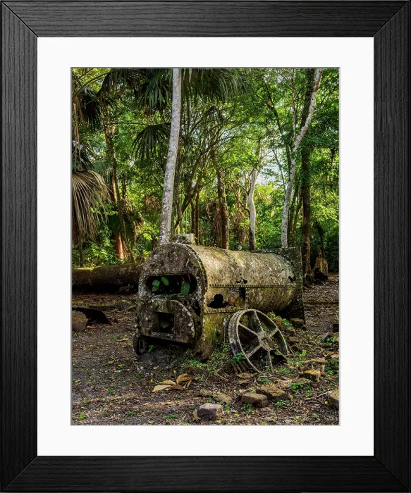 Framed Print : 19th-Century Sugar Mill Ruins near Lamanai Archaeological Reserve, Indian Church, Orange Walk District, Belize