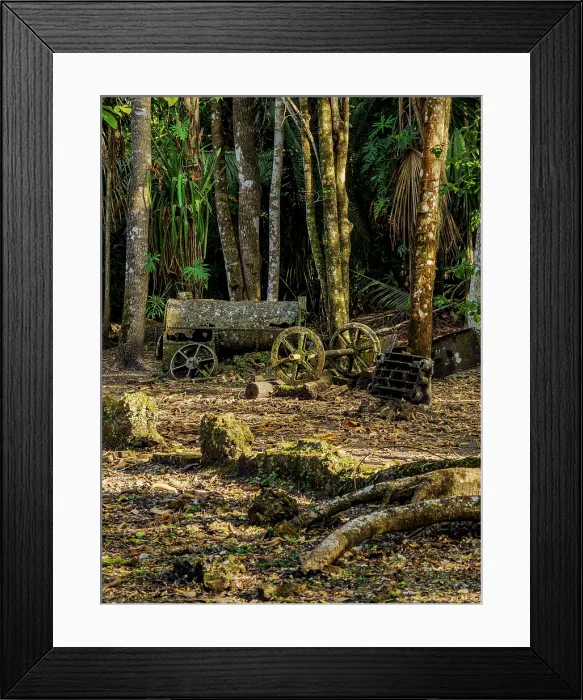 Framed Print : 19th-Century Sugar Mill Ruins near Lamanai Archaeological Reserve, Indian Church, Orange Walk District, Belize