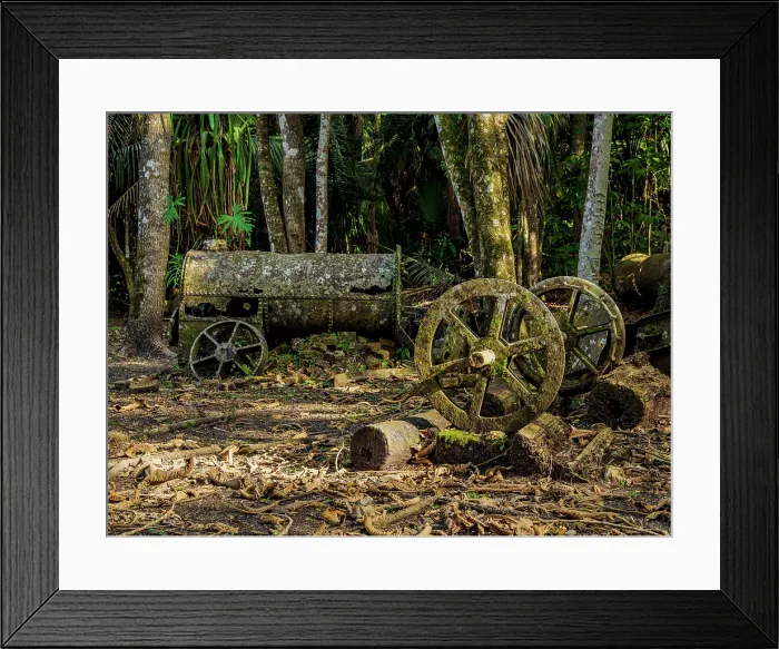 Framed Print : 19th-Century Sugar Mill Ruins near Lamanai Archaeological Reserve, Indian Church, Orange Walk District, Belize Framed Print : 19th-Century Sugar Mill Ruins near Lamanai Archaeological Reserve, Indian Church, Orange Walk District, Belize